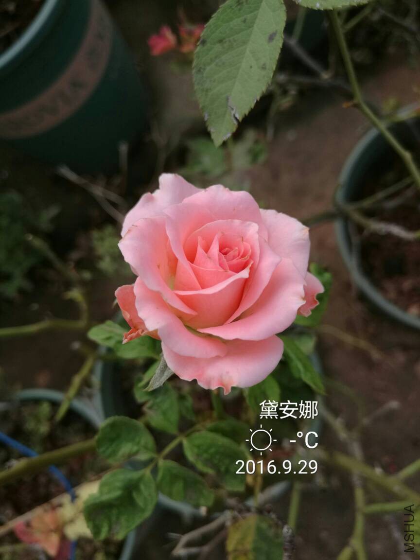 084403lqqqz488wzc155pm.jpg