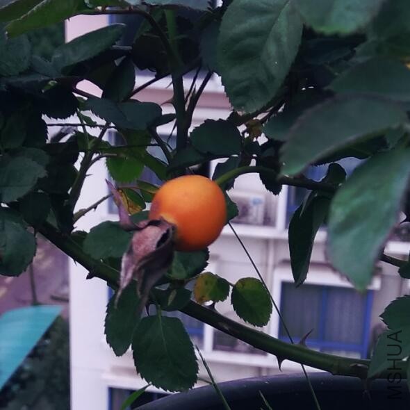 QQ��ͼ20160929102951.jpg