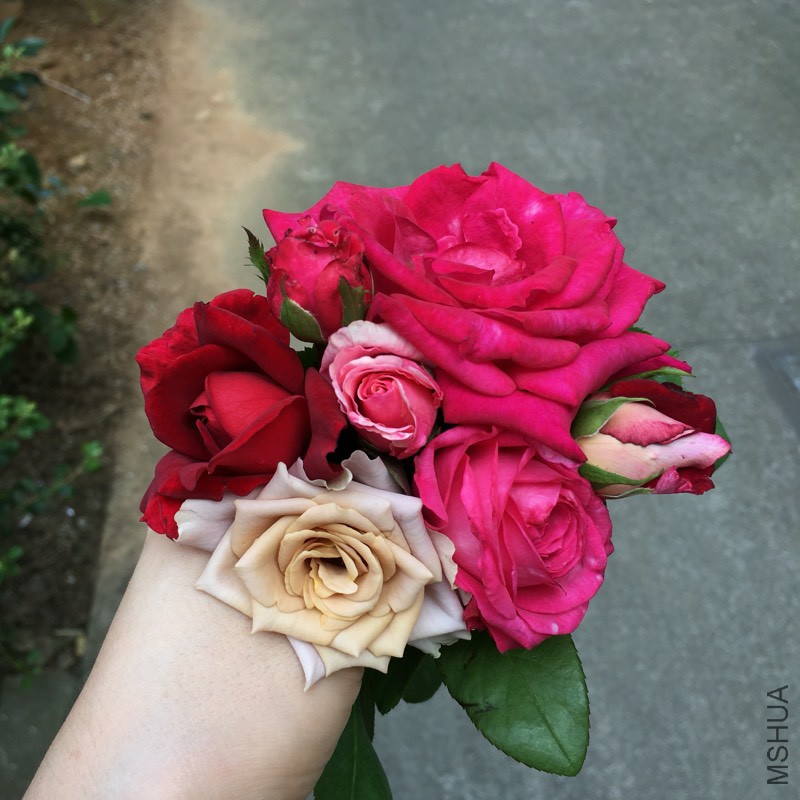 141609bawhjz8h6l9w0j94.jpg