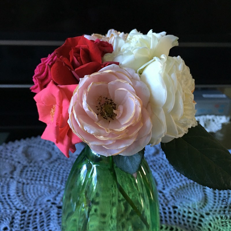 141610s36h0q0mq00mypu1.jpg