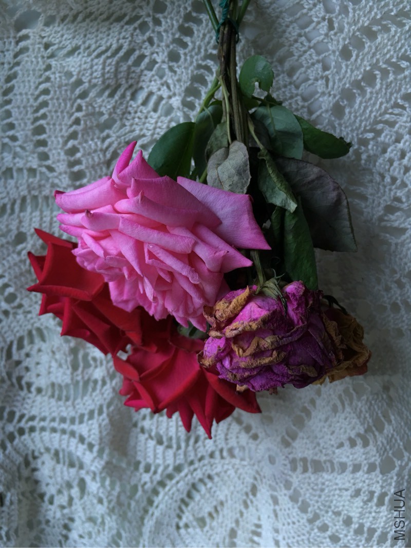 141612v9nr3pvxpx4t9p59.jpg