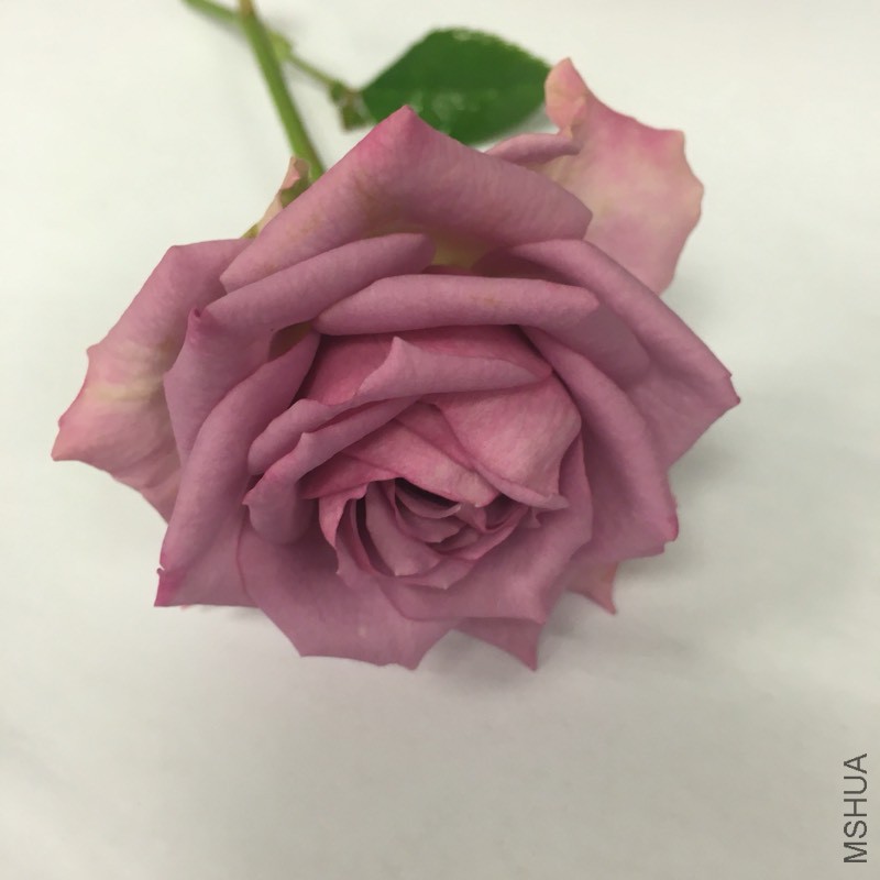 144728fucwg2gw5c25ywgc.jpg