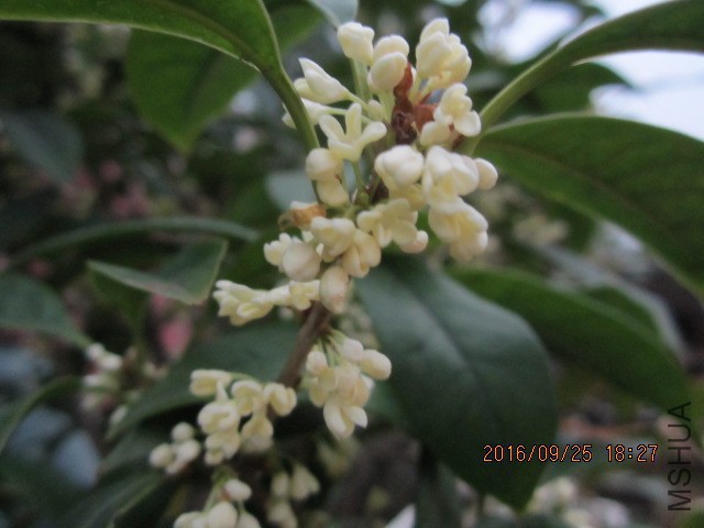 IMG_6849.JPG