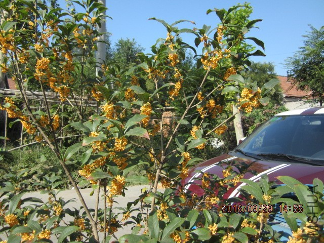 IMG_6884.JPG