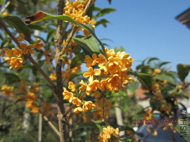 IMG_6886.JPG