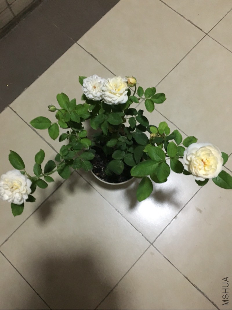 201357k09sppdzp1vi1q31.jpg
