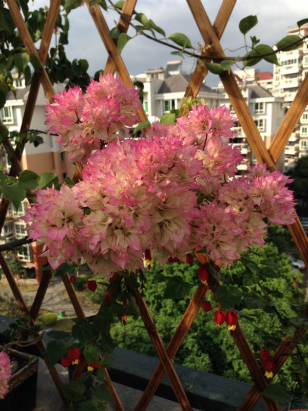 2015.2 145.jpg