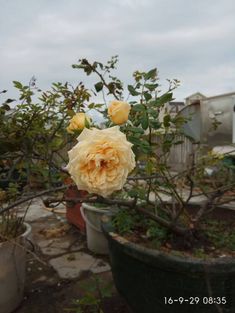 100240pxukjkhcf8jl2pzh.jpg
