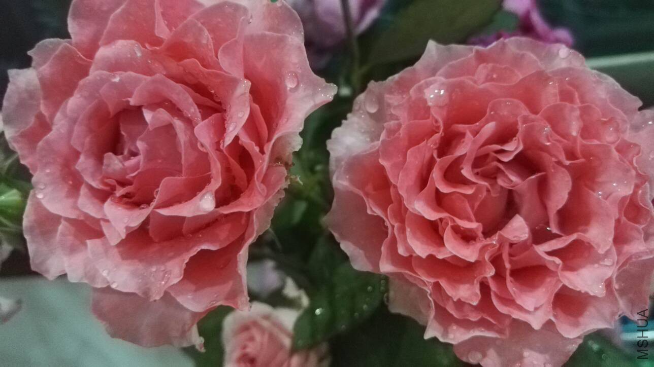164802djj08f7y9484yxj8.jpg