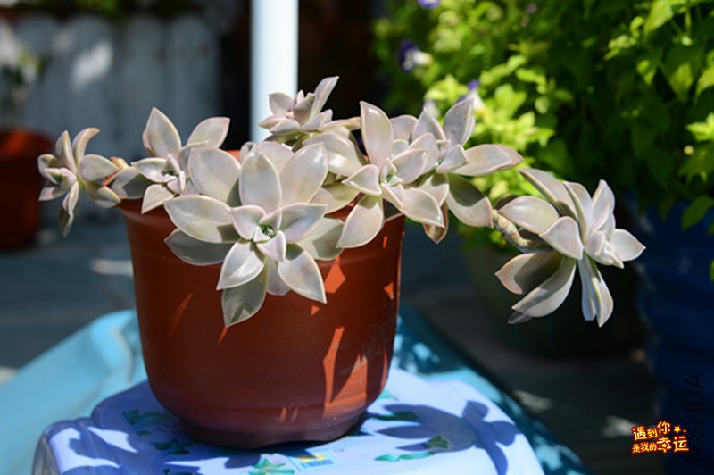 ��Ƭ 048_����.jpg