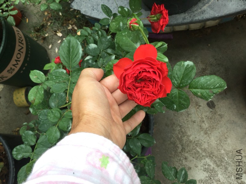 093344a7b730w5qwrcqnuq.jpg