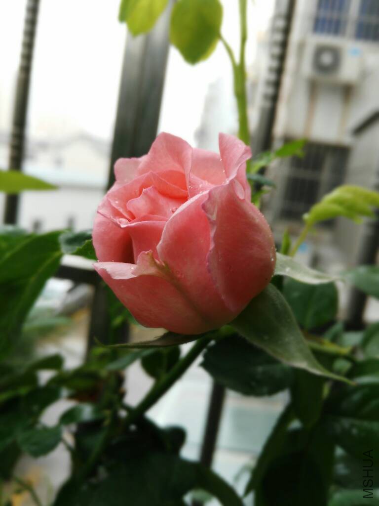 114033wkppul72wc1cc57f.jpg