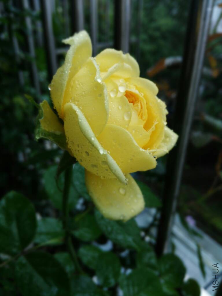 114034g29rsr424c1ec1x9.jpg