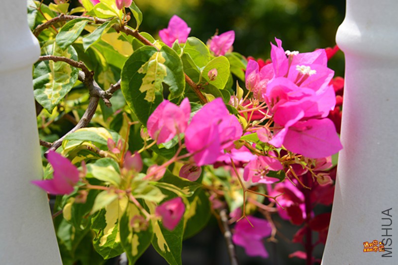 ��Ƭ 103_����.jpg