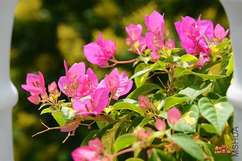 ��Ƭ 104_����.jpg