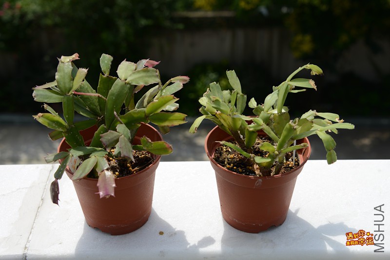 ��Ƭ 077_����.jpg