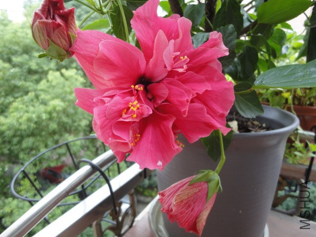 DSC01629.JPG