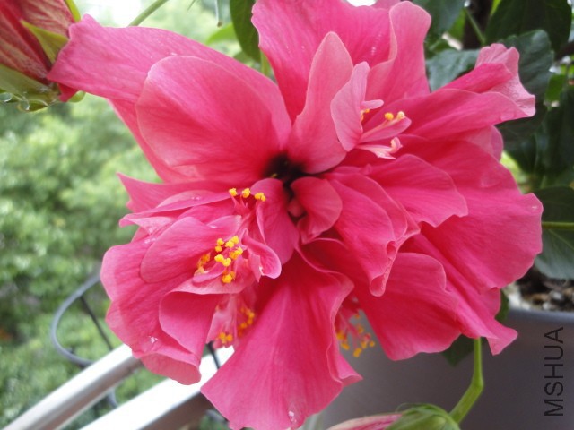 DSC01630.JPG