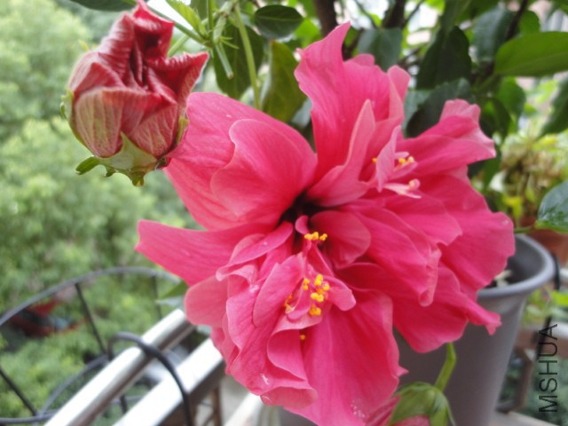 DSC01631.JPG