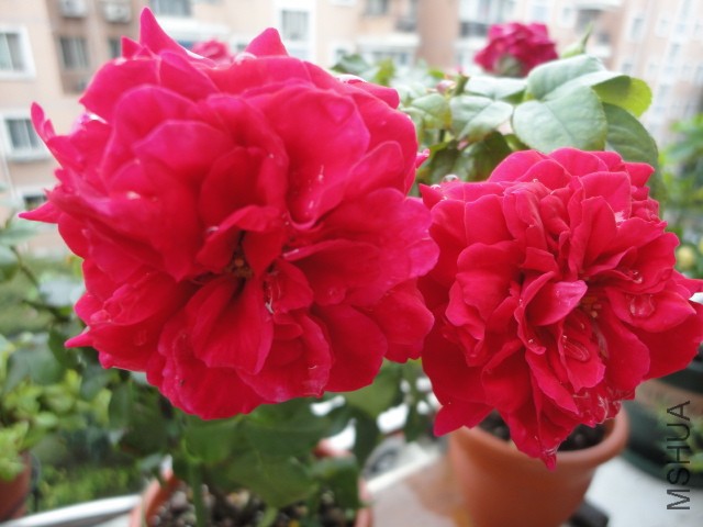 DSC01632.JPG