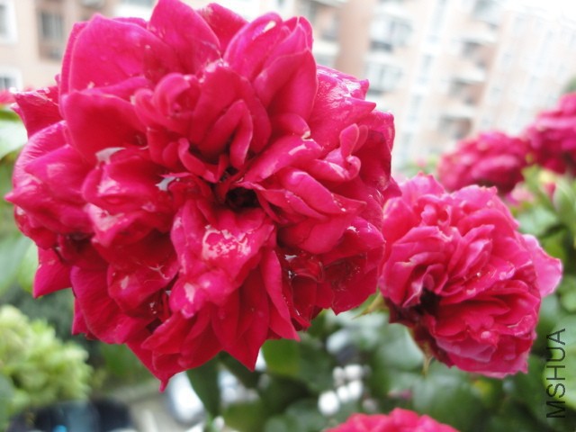 DSC01633.JPG