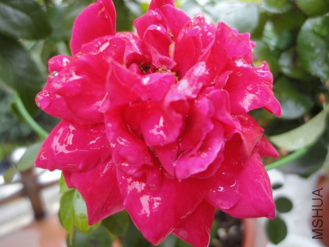 DSC01634.JPG