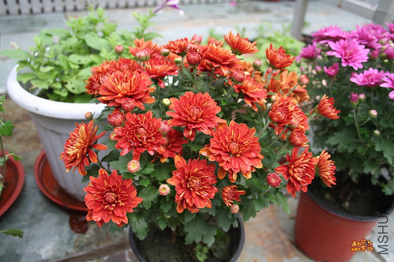 ��Ƭ 065_����.jpg