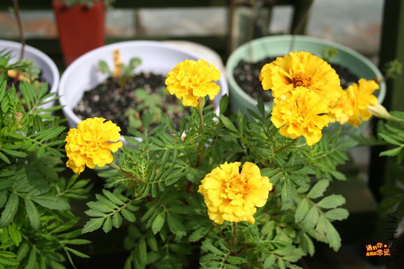 ��Ƭ 068_����.jpg