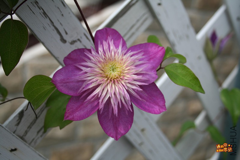 ��Ƭ 106_����.jpg