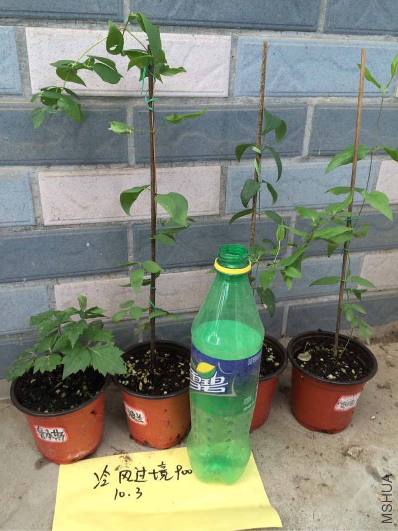 132149ermxopn71dn1xlnd.jpg