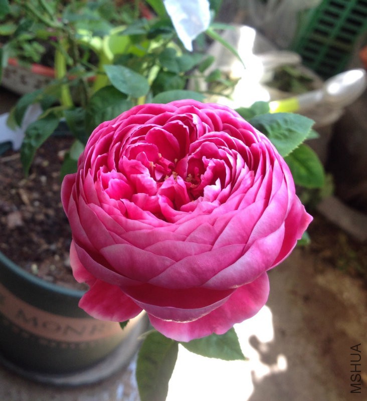2016-08-25 131927.jpg