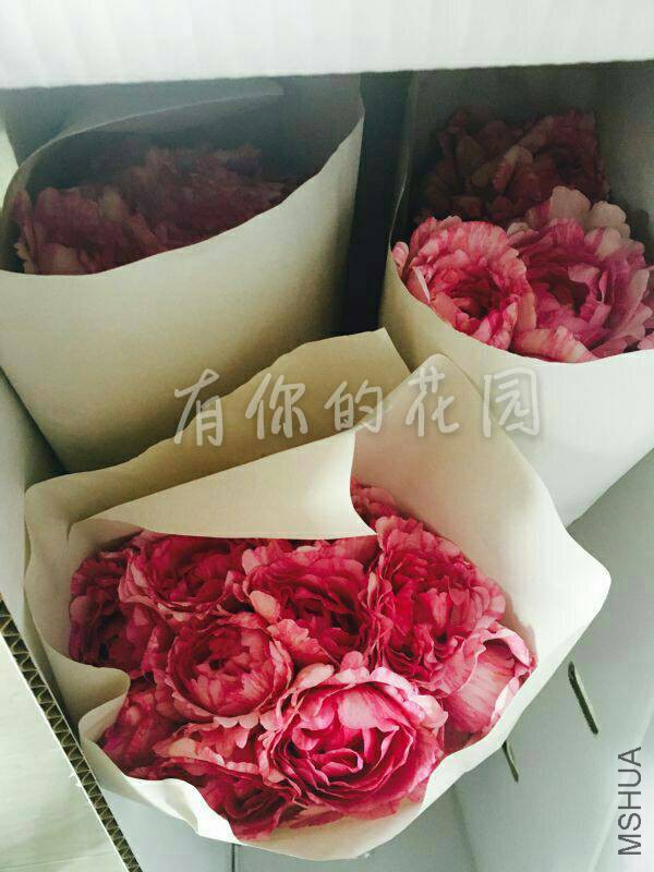 005358kgt1bpufk314whnt.jpg
