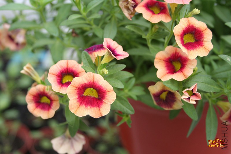 ��Ƭ 095_����.jpg