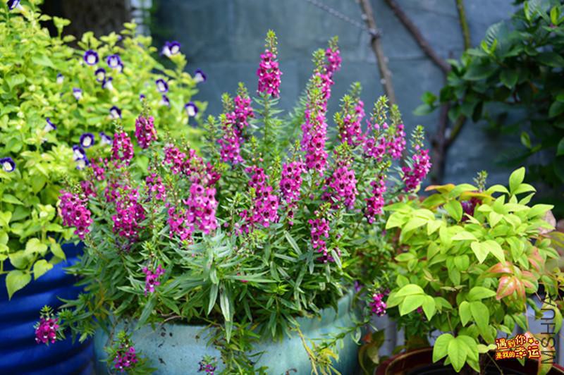 ��Ƭ 045_����.jpg