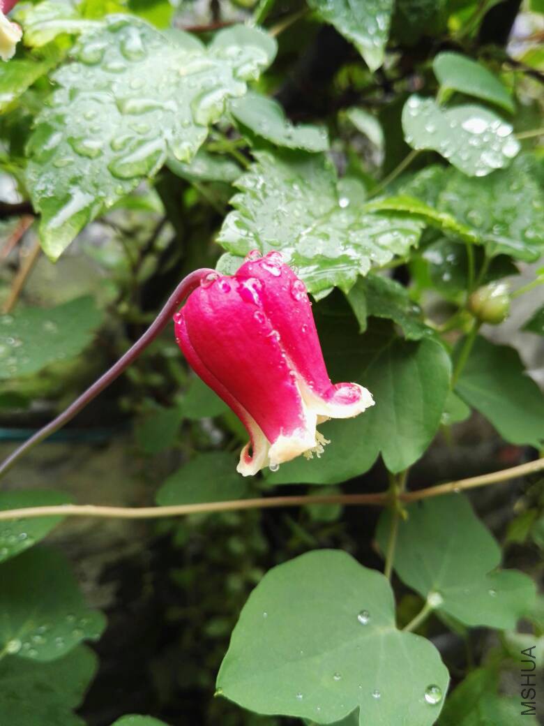 100046pj4pomwt3ykwmf93.jpg