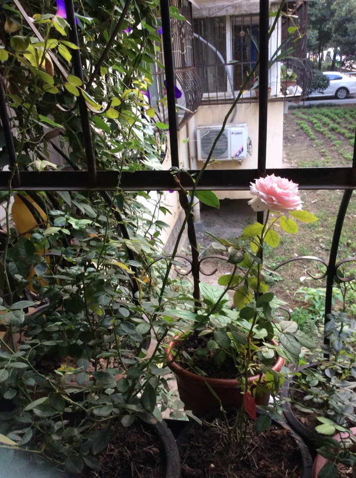 104411ttbprc23mm7ihkf7.jpg