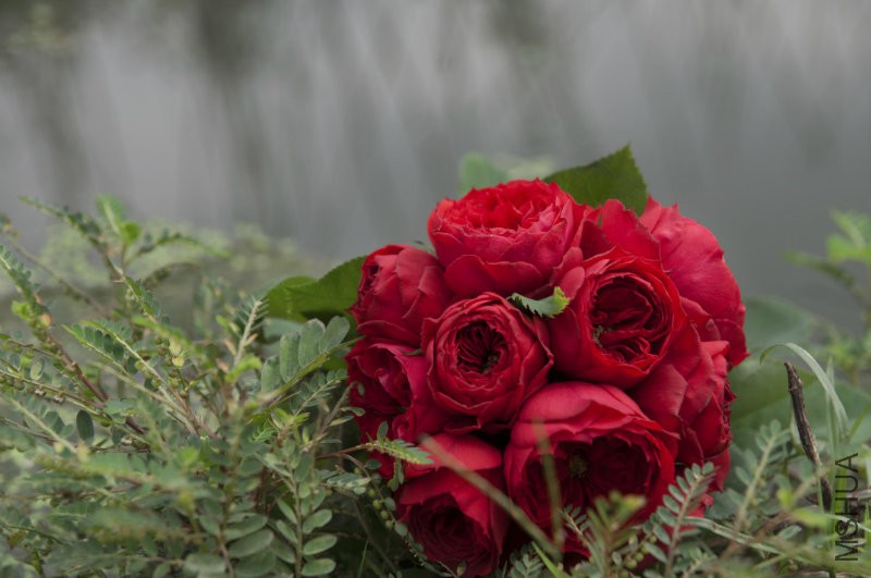 ��ɫ����