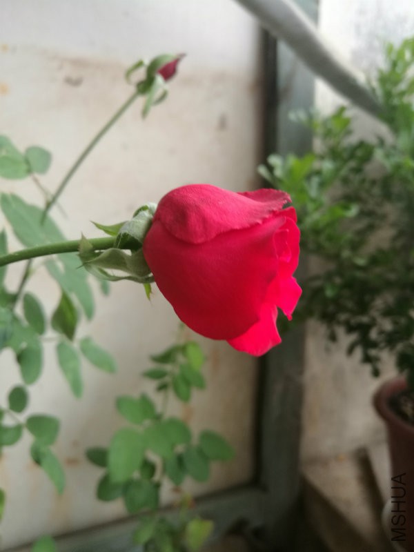 IMG_20160929_081535.jpg