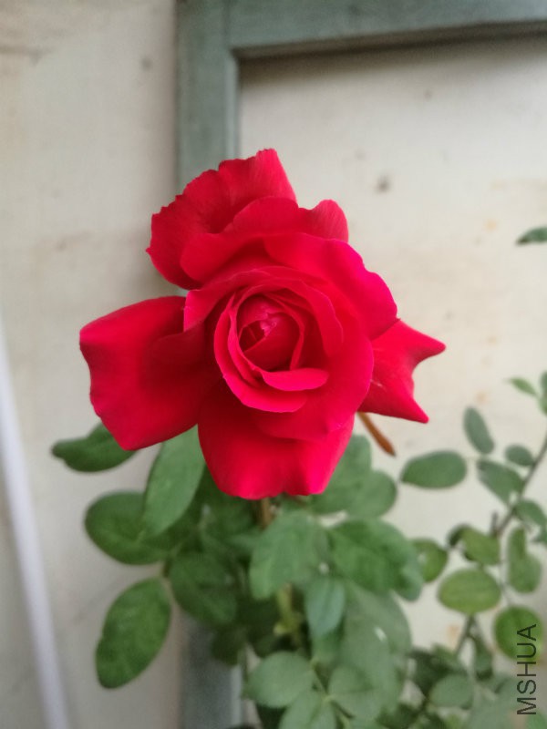 IMG_20160930_070611.jpg