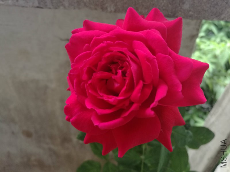 IMG_20160930_155100.jpg