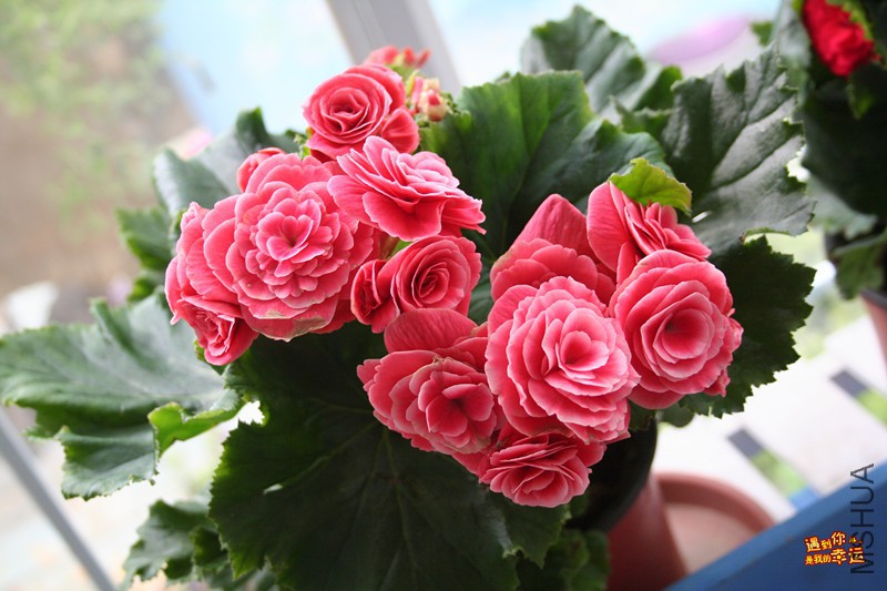 ��Ƭ 098_����.jpg