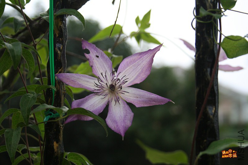 ��Ƭ 081_����.jpg