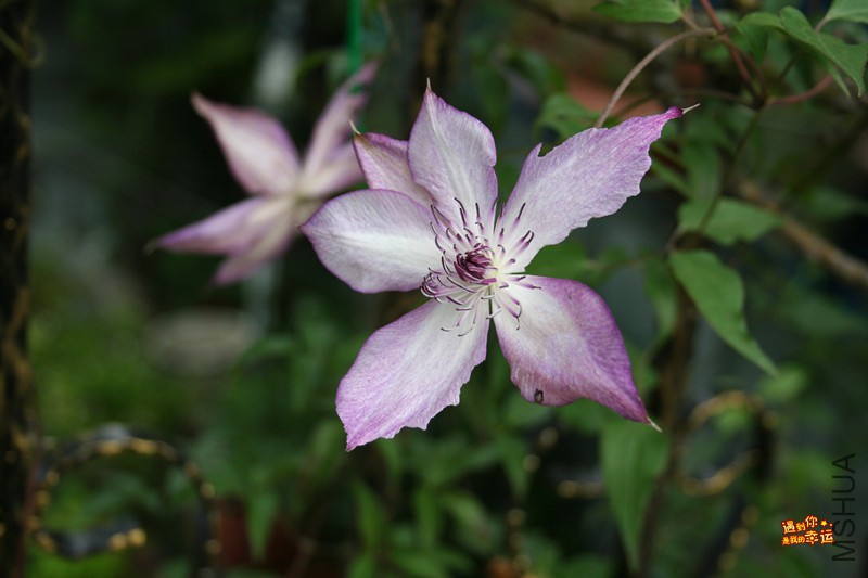 ��Ƭ 088_����.jpg