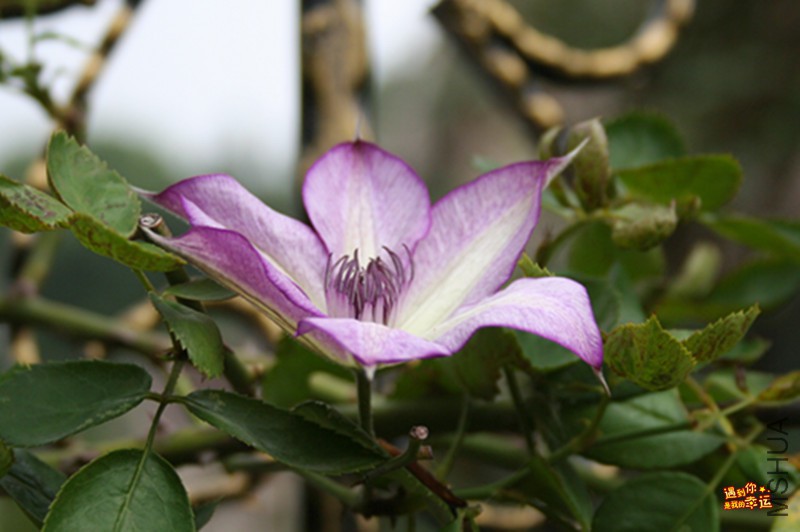 ��Ƭ 090_����.jpg