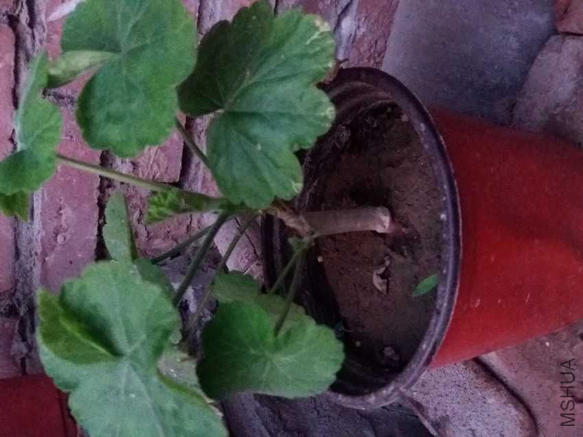 20161005_175720.jpg