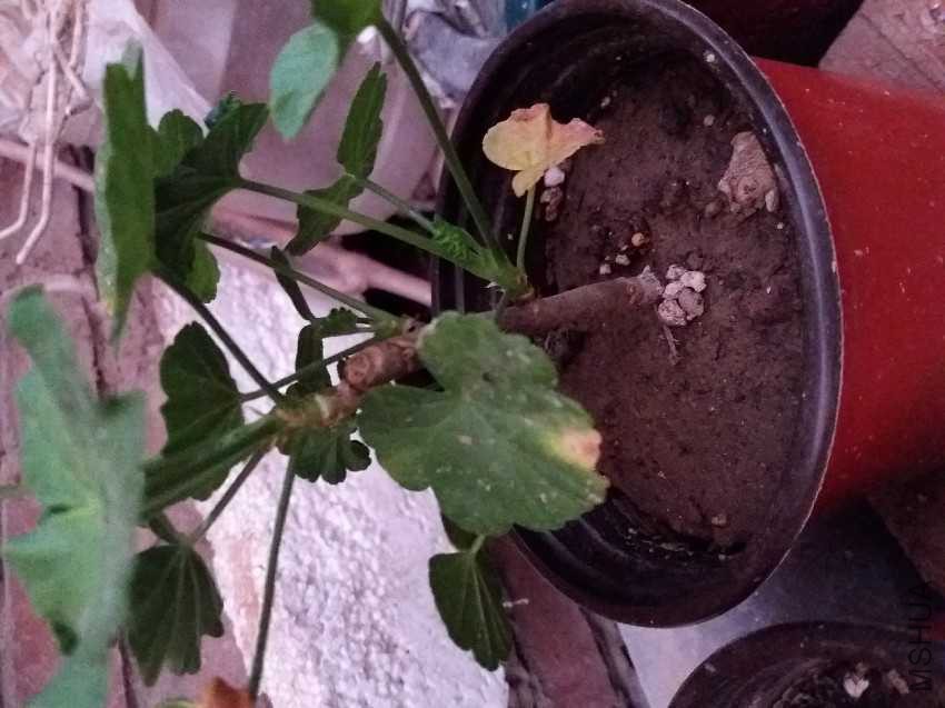 20161005_175603.jpg