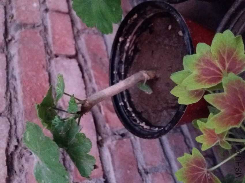 20161005_175655.jpg