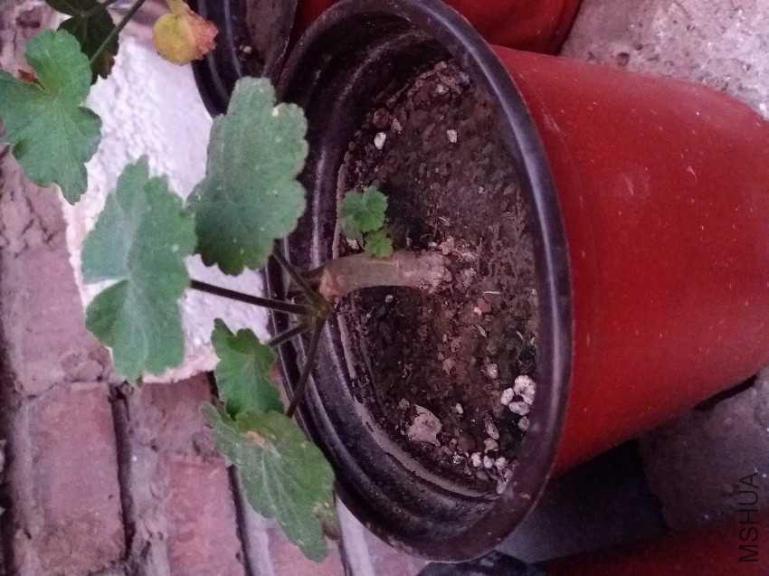 20161005_175550.jpg