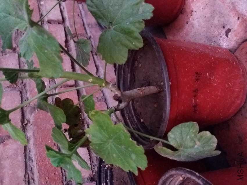 20161005_175647.jpg