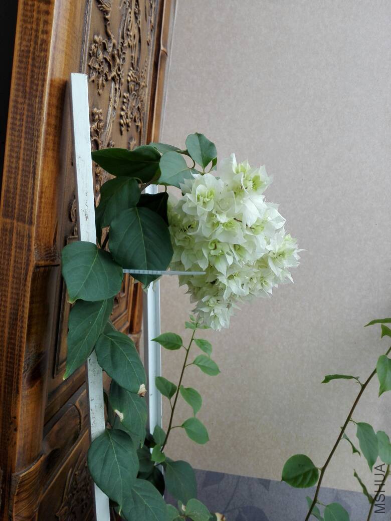 131737yqujda4o0e505gf6.jpg